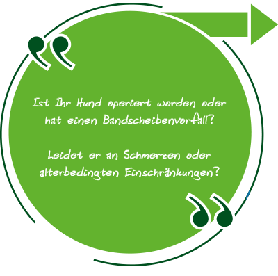 Hunde Physiotherapie von Nicole Bonitz. Krankengymnastik für Ihren Hund!
