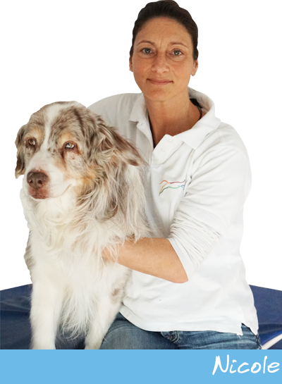 Hunde Physiotherapie von Nicole Bonitz. Krankengymnastik für Ihren Hund!