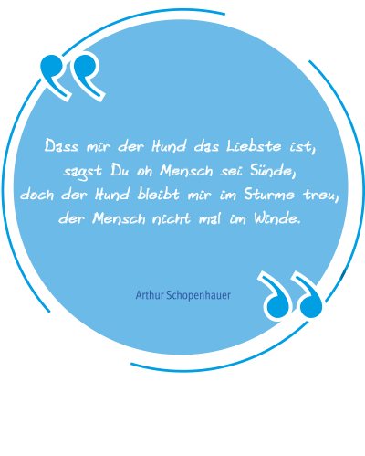 Hunde Physiotherapie von Nicole Bonitz. Krankengymnastik für Ihren Hund!